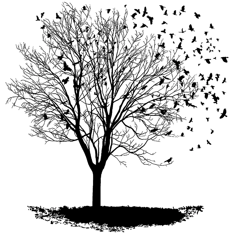 

Новинка 2022, прозрачные штампы в стиле ретро с рисунком растений и деревьев для творчества, изготовления поздравительных открыток, скрапбук...