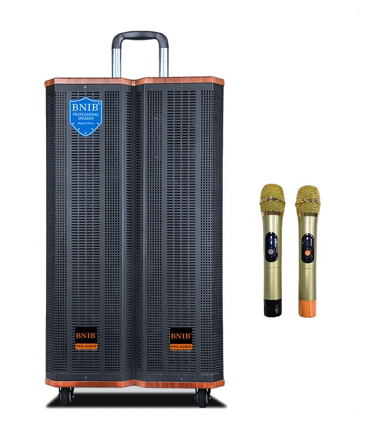 

2022 Factory Sound Equipment Amplifiers Speaker Trolley Speaker Wood Speaker Usb TF Outdoor Indoor Karaoke Audio System
