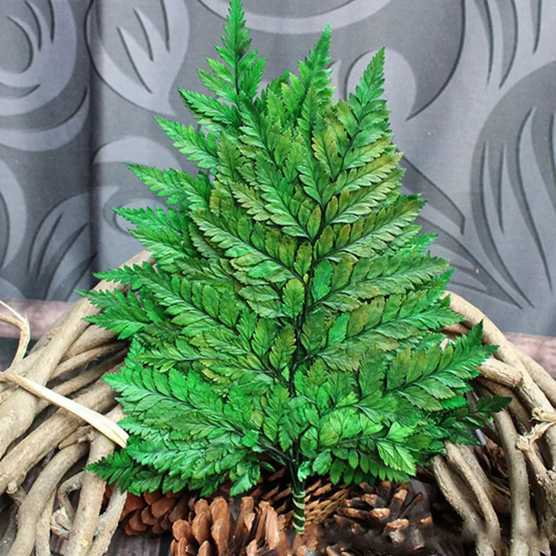 ΠΠ°ΡΡΡΠ°Π»ΡΠ½ΡΠ΅ Π»ΠΈΡΡΡΡ Lern Π΄Π»ΠΈΠ½ΠΎΠΉ ΠΎΠΊΠΎΠ»ΠΎ 15 ΡΠΌ, Π²ΡΡΠΎΠΊΠΈΠ΅ ΡΡΡΠ΅Π½ΡΠ΅ ΡΠ²Π΅ΡΡ ΠΈΠ· ΠΊΠΎΠ·ΡΠΈΡ
Π·ΡΠ±ΠΎΠ², ΡΠΎΠ·ΠΎΠ²ΡΠΉ, Π±Π΅Π»ΡΠΉ, ΠΊΡΠ°ΡΠ½ΡΠΉ, Π±ΡΠΊΠ΅Ρ ΠΈΠ· 10 ΡΡ./Π»ΠΎΡ Π΄Π»Ρ ΡΠΊΡΠ°ΡΠ΅Π½ΠΈΡ Π΄ΠΎΠΌΠ° Π² Π΅Π²ΡΠΎΠΏΠ΅ΠΉΡΠΊΠΎΠΌ ΡΡΠΈΠ»Π΅ ΠΠ°ΡΡΡΠ°Π»ΡΠ½ΡΠ΅ Π»ΠΈΡΡΡΡ Lern Π΄Π»ΠΈΠ½ΠΎΠΉ ΠΎΠΊΠΎΠ»ΠΎ 15 ΡΠΌ, Π²ΡΡΠΎΠΊΠΈΠ΅ ΡΡΡΠ΅Π½ΡΠ΅ ΡΠ²Π΅ΡΡ ΠΈΠ· ΠΊΠΎΠ·ΡΠΈΡ
Π·ΡΠ±ΠΎΠ², ΡΠΎΠ·ΠΎΠ²ΡΠΉ, Π±Π΅Π»ΡΠΉ, ΠΊΡΠ°ΡΠ½ΡΠΉ, Π±ΡΠΊΠ΅Ρ ΠΈΠ· 10 ΡΡ./Π»ΠΎΡ Π΄Π»Ρ ΡΠΊΡΠ°ΡΠ΅Π½ΠΈΡ Π΄ΠΎΠΌΠ° Π² Π΅Π²ΡΠΎΠΏΠ΅ΠΉΡΠΊΠΎΠΌ ΡΡΠΈΠ»Π΅