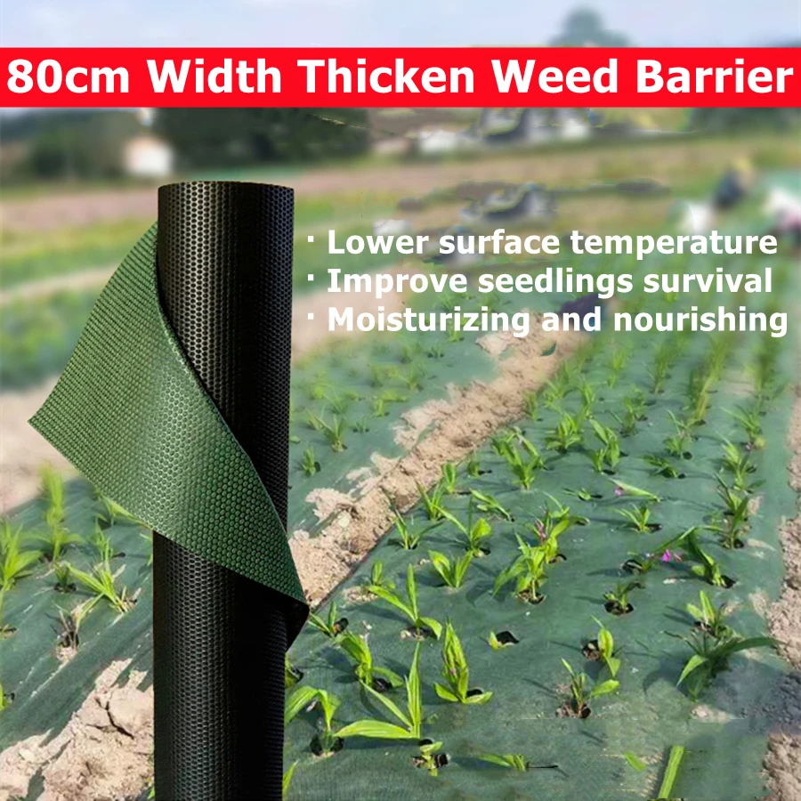 Upgrade Moisturized Pest Control Thicken Weed Barrier Landscape Fabric Nourishing Garden Ground Cover for Farming Planting