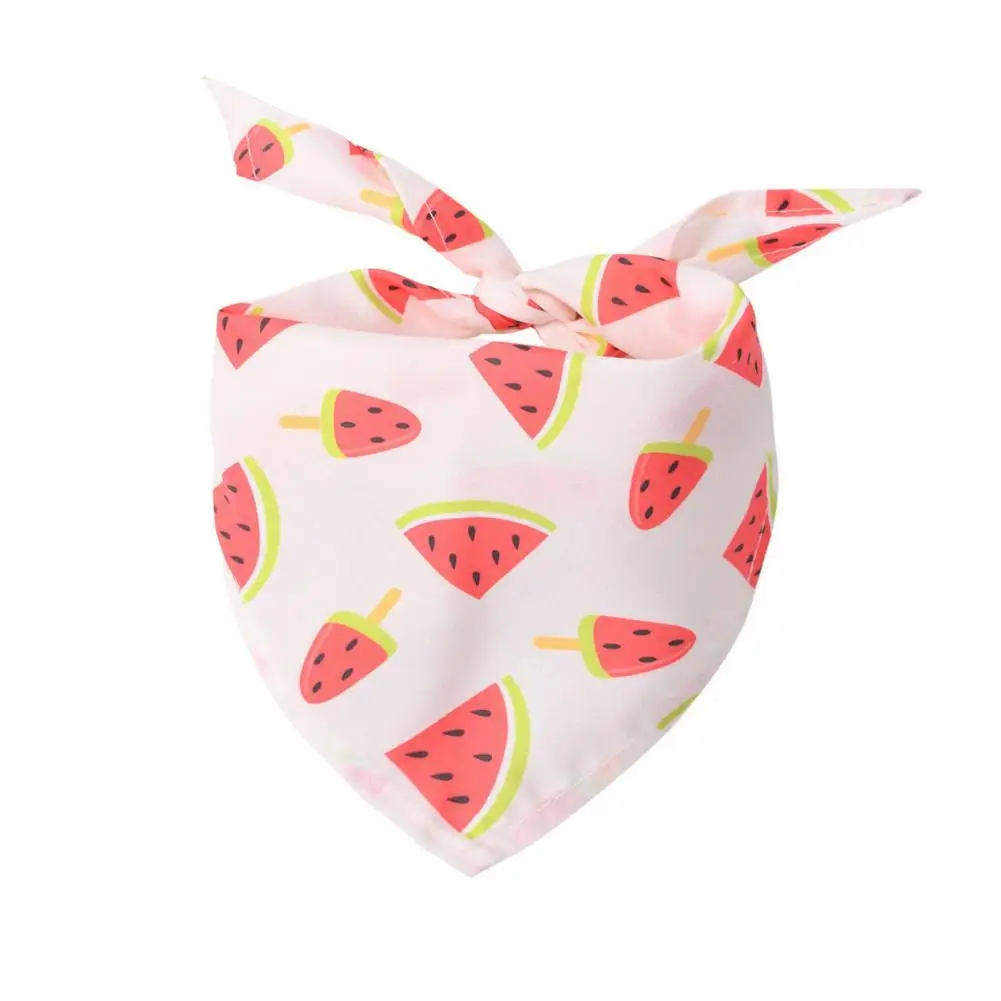 

Polyester Cute Fruit Kiwi Teddy Kerchief Tropical Style Dog Bandana Adjustable for Daily Use
