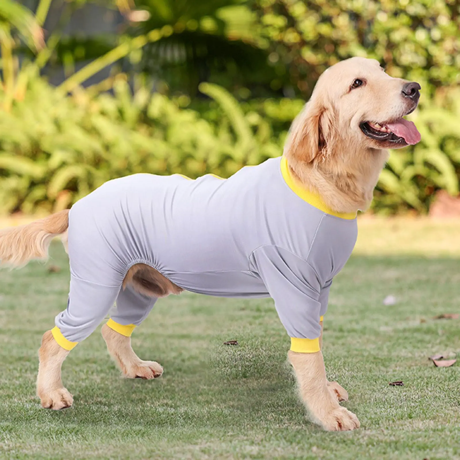 Костюм для выживания собак после хирургического использования костюм