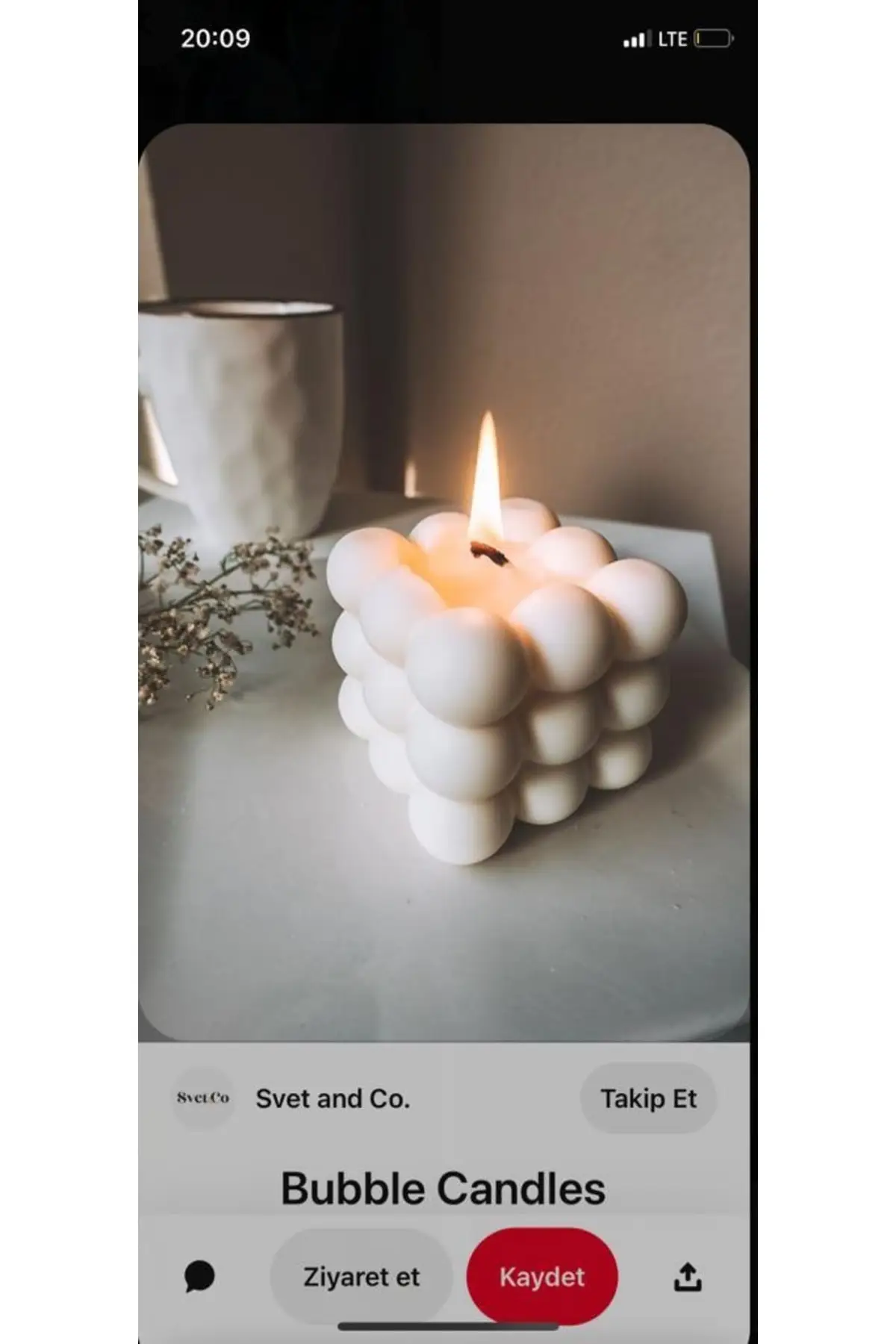 

Oyster Sea Shell Bubble Knot Minimal Candle Set of 3