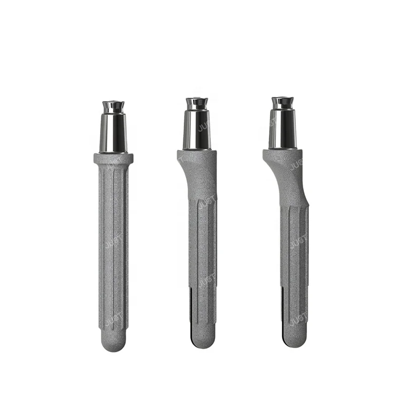 

Manufacturer RSK stem extension revision TKA total knee artificial replacement