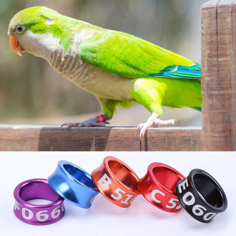 

10PC Flight Training Tool Aluminum Foot Ring With Numbered Bird Parrots Foot Ring Competition Identification Label Outdoor