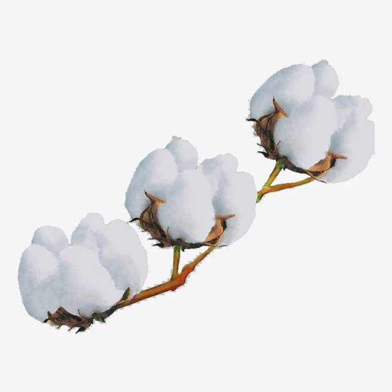 1000 Gram Defoliation Dropp Thidiazuron TDZ Growth Hormone 50% WP Price Supplier |