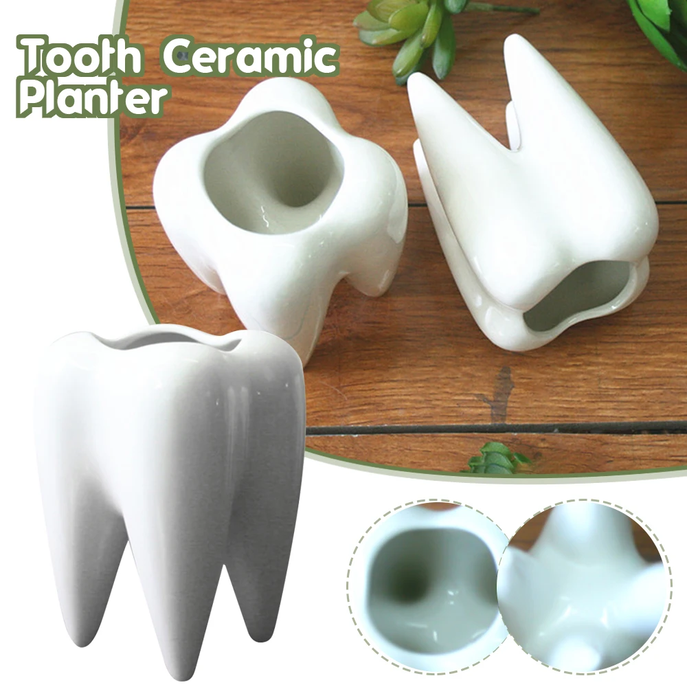 

1Pcs Tooth Shaped Tabletop Ceramic Flowerpot Home Furnishings Cute Succulent Cactus Flower Pot Plant Nursery Basin Table Vase FU