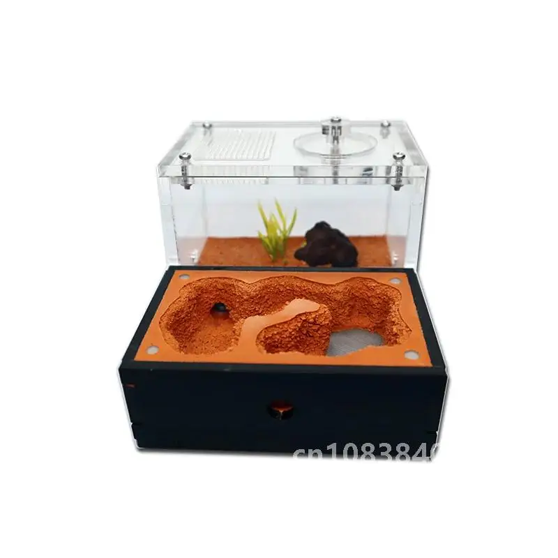 Ферма муравьев с внешней водяной башней и мусорной зоной Желтый почвенный дом из