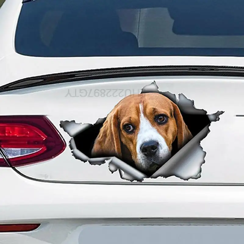 

PVC Decal Beagle Car Sticker on Motorcycle Laptop Decorative Accessories