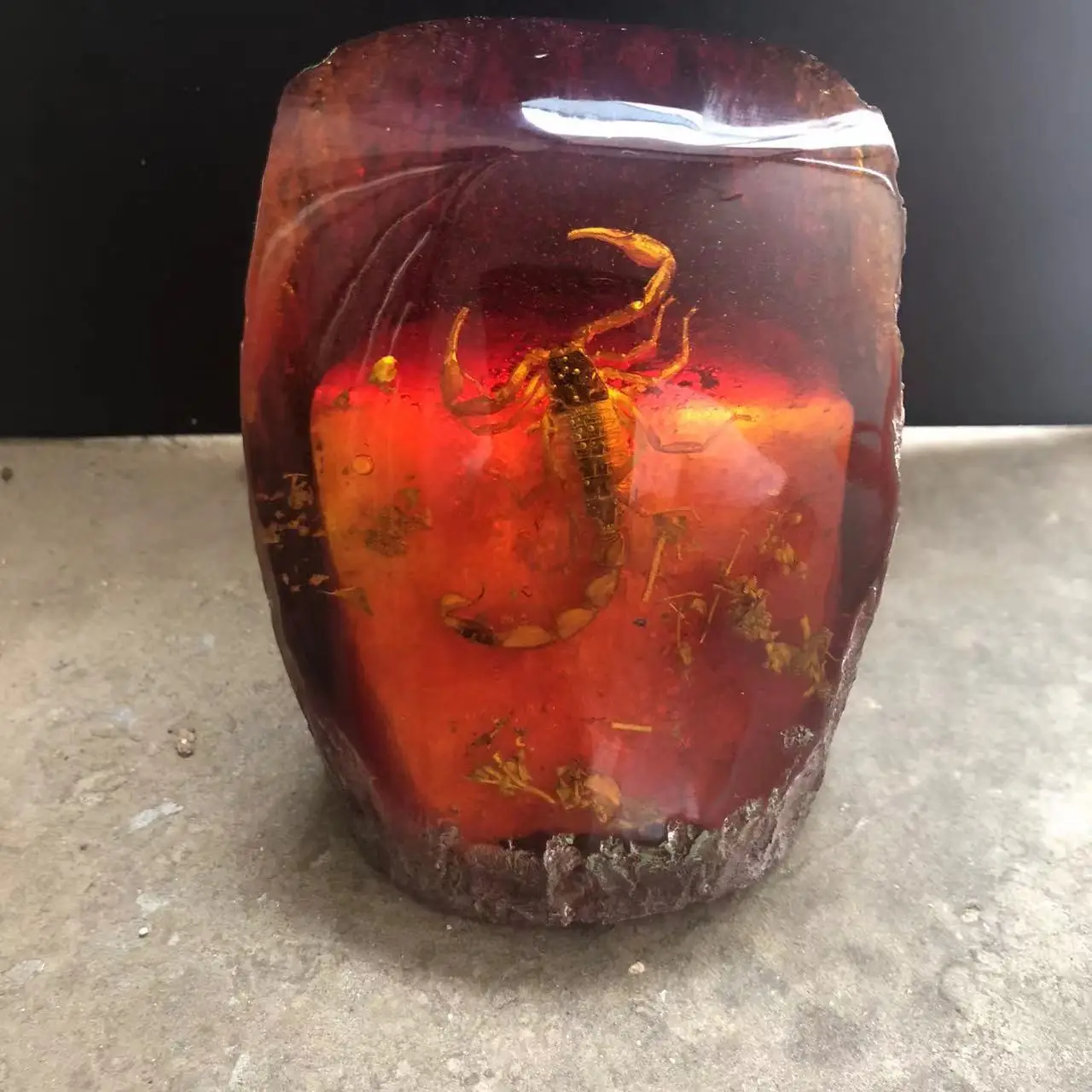 

Antique resin amber with bugs, scorpion know crab, butterfly, insect specimen, stump ornaments