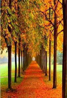 Сетчатый осенний Шелковый постер с художественной печатью rabstol, домашний Настенный декор