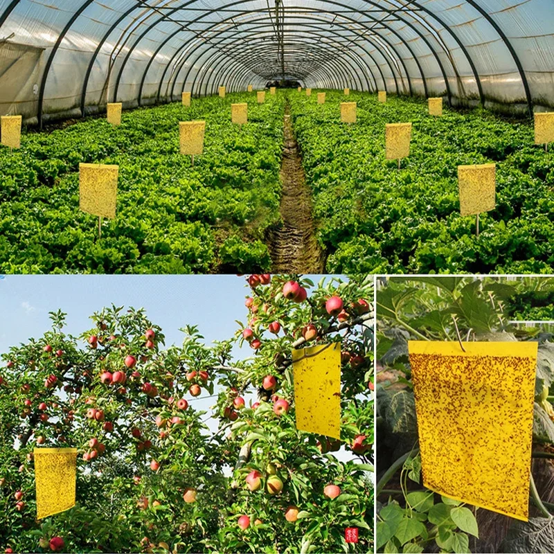 20/50 шт. двусторонняя клейкая доска-ловушка для насекомых