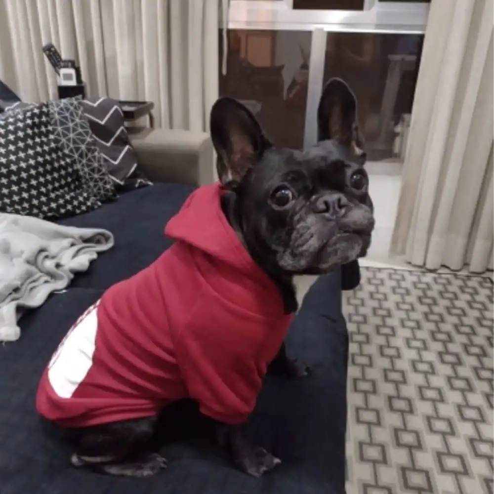 

Собака балахон средний новый сезон Pet свитер пальто теплая Модная одежда бульдог французский большой осенний утолщенный костюм Чихуахуа ма...