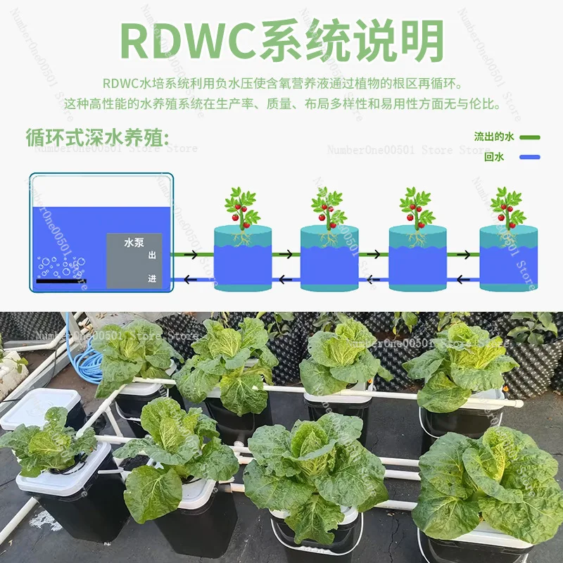 Фото Оборудование для беспочвенного выращивания: система RDWC для домашнего балкона, голландская бочковая система для посадки растений №4