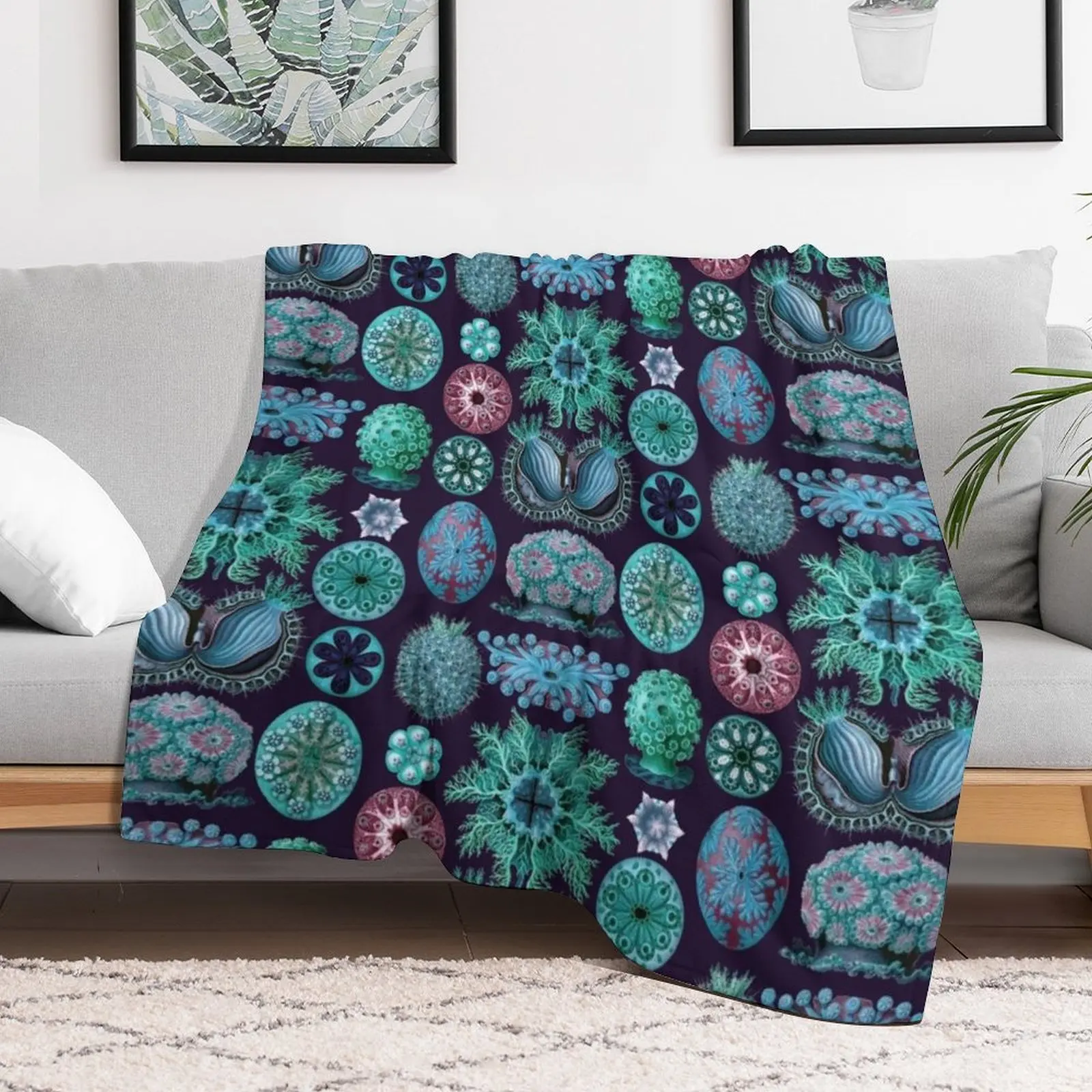 Ernst Haeckel Ascidiae Sea Squirts бирюзовое цветное одеяло милое клетчатое мягкое летнее