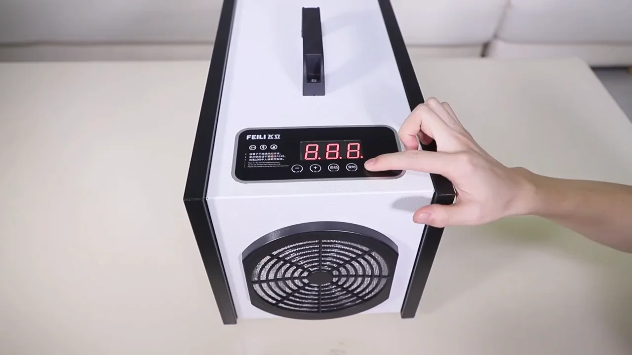 

Workshop food factory hotel hospital disinfection in addition to smell new air purifier 20G ozone generator