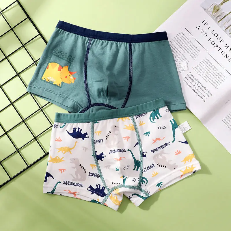 

Quality Teen Underwear 2Pcs/Lot Boys Panties Cute Cartoon Cotton Underpants 1-12 Year Students Box Briefs Children Short