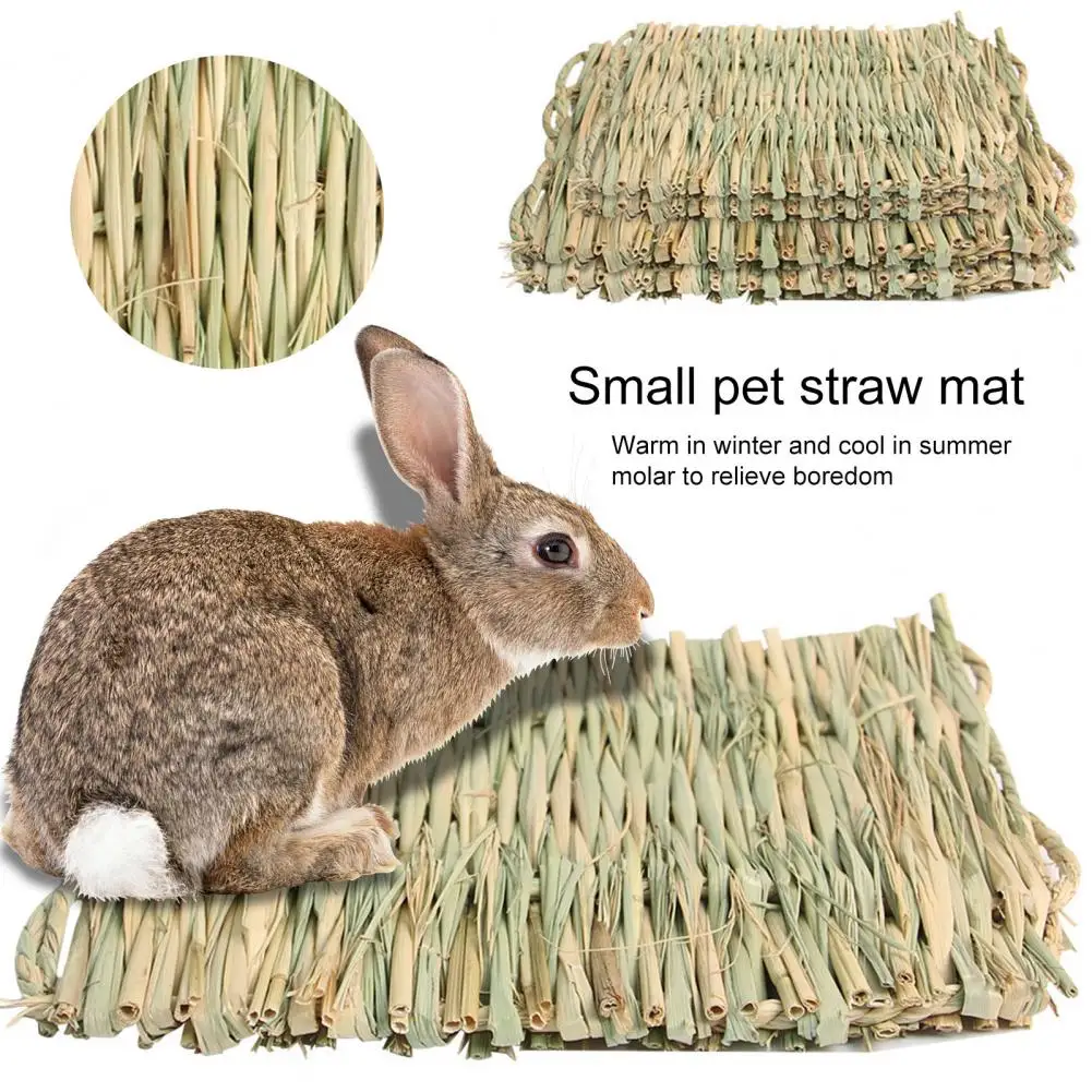 

2Pcs Rabbit Grass Chew Mat Bite Resistant Natural Material Small Animal Hamster Guinea Pig Bedding Pad Cage Accessories