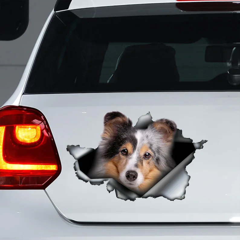 

Australian Shepherd decal, Aussie car sticker, Aussie magnet, Aussie sticker