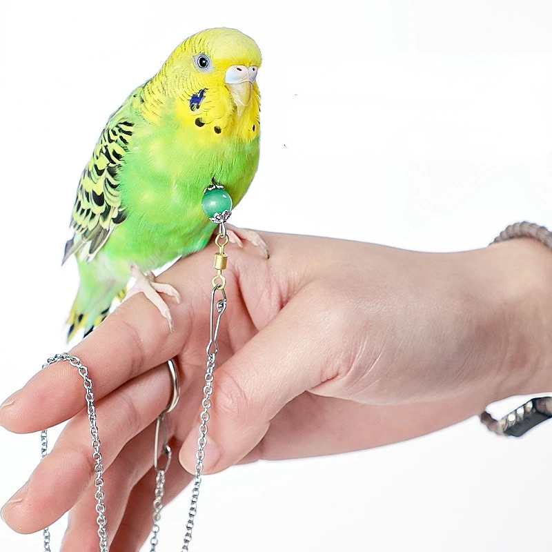 Кольцо-подставка для птиц из нержавеющей стали, уличная цепочка для ...