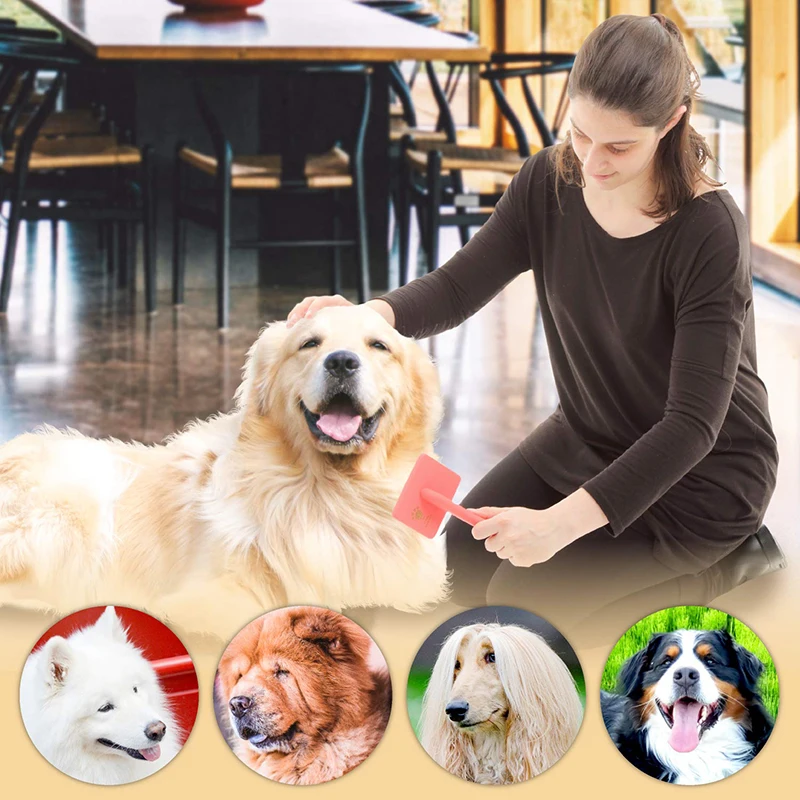

Professional Pet Slicker Brush Soft Massage Grooming Stainless Steel Pins Cat Dog Comb Dematting Shedding Fur Undercoat