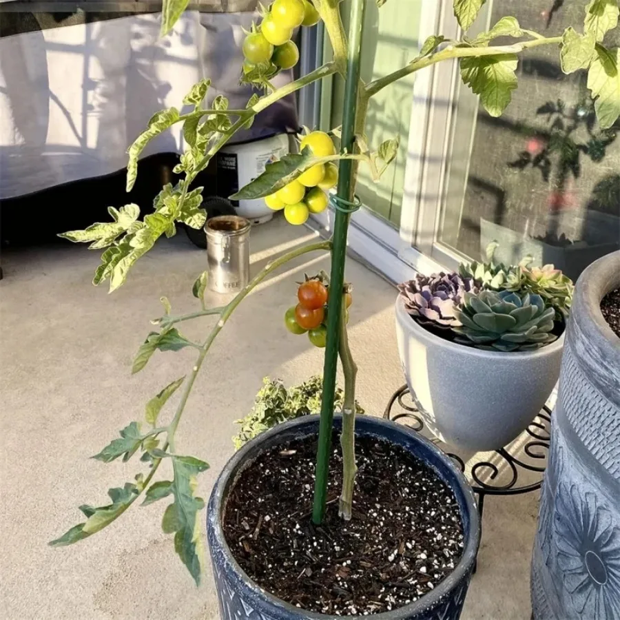 Садовые колья со стальным покрытием набор из 8 предметов для поддержки деревьев и