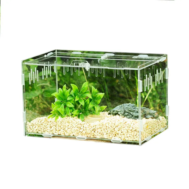 Assembled Acrylic Terrarium Crawling Pet Spider Gecko Scorpion Hermit Crab Terrarium Pet Supplies