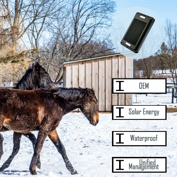 Фото GPS-трекер для крупных животных с солнечной панелью для зарядки, водонепроницаемый IP67, для отслеживания лошадей, коров, крупного рогатого скота, GPSONE №3