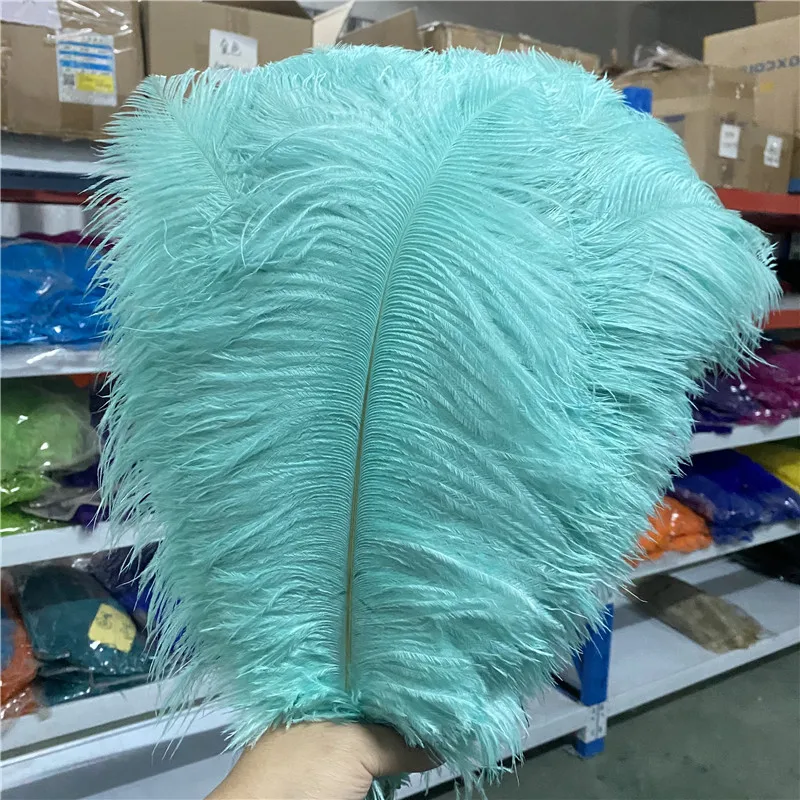 

Beautiful 50pcs/lot High Quality Light Green Ostrich Feather 16-18 Inches/40-45cm Accessories Carnival Celebration Party Plumas