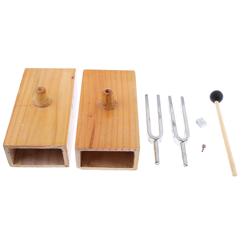 

2x Scientific Tuning Fork Box Scientific Physical
