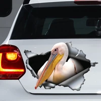 pelican car decal pelican magnet pelican car sticker