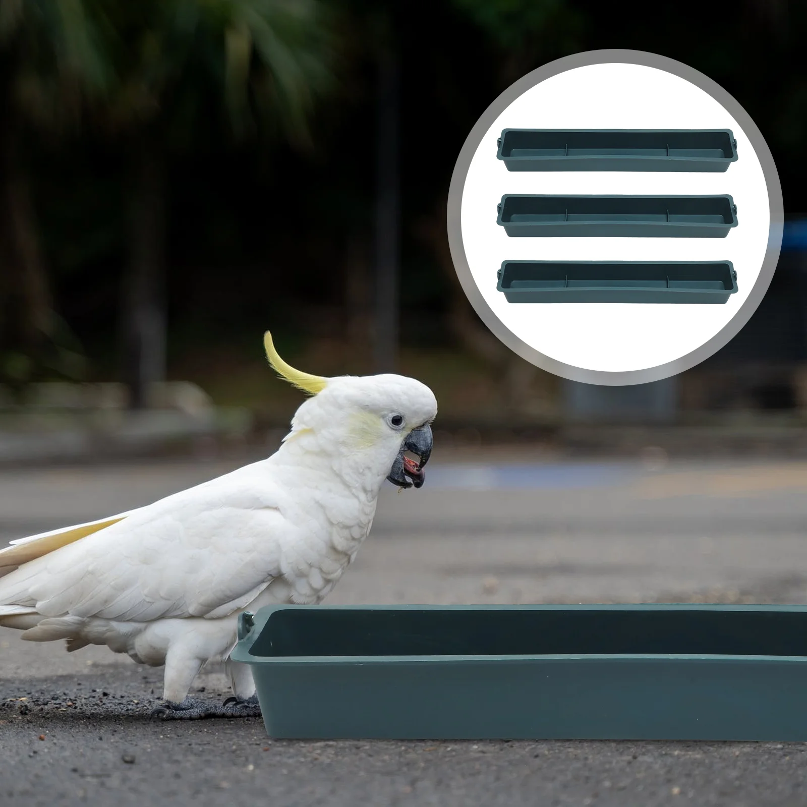 

3 шт., держатель для воды и птицы