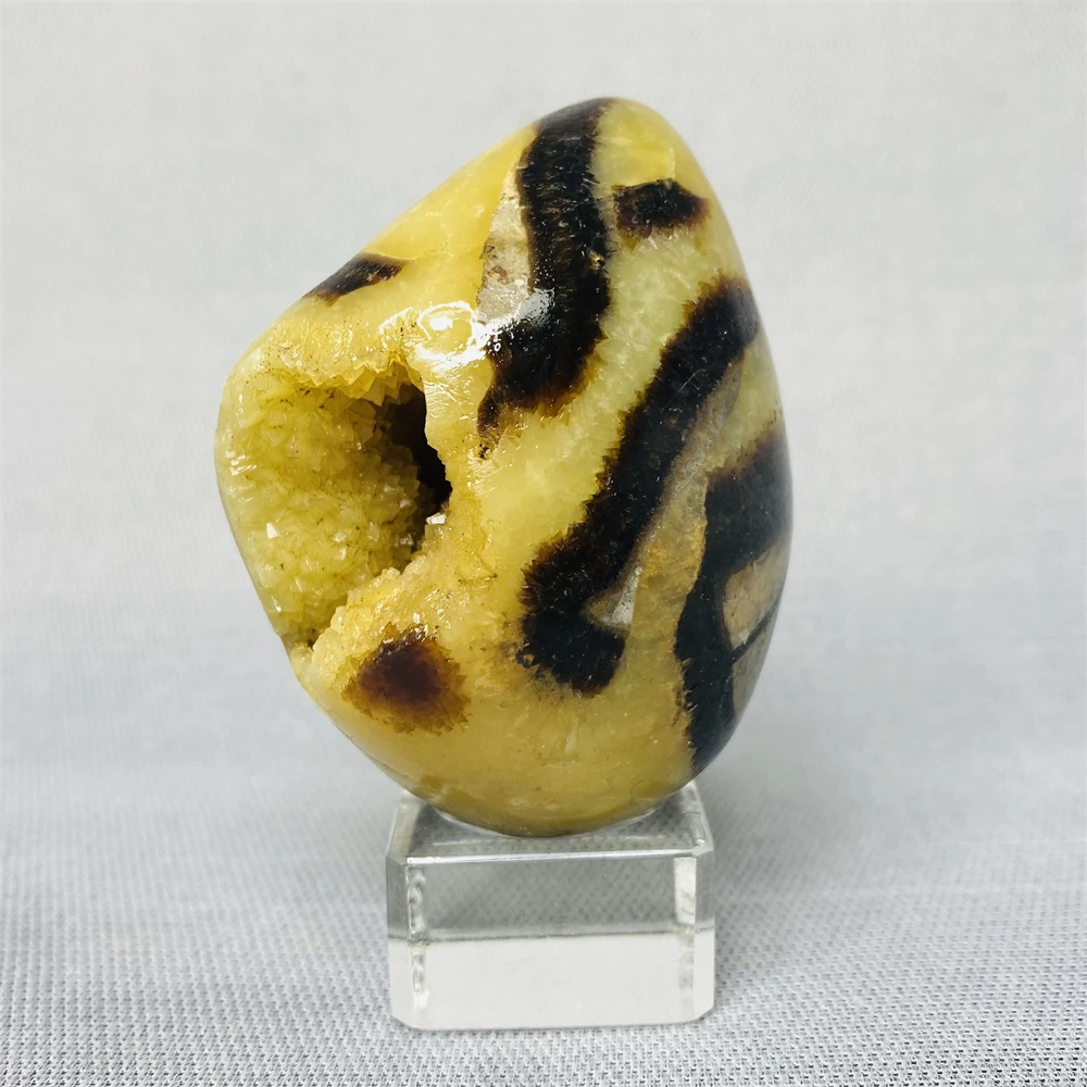 

Natural Turtle Stone Yellow Geode Rock Witchcraft Altar Ornament Gifts Home Spiritual Decorations Crystals and Stones Healing