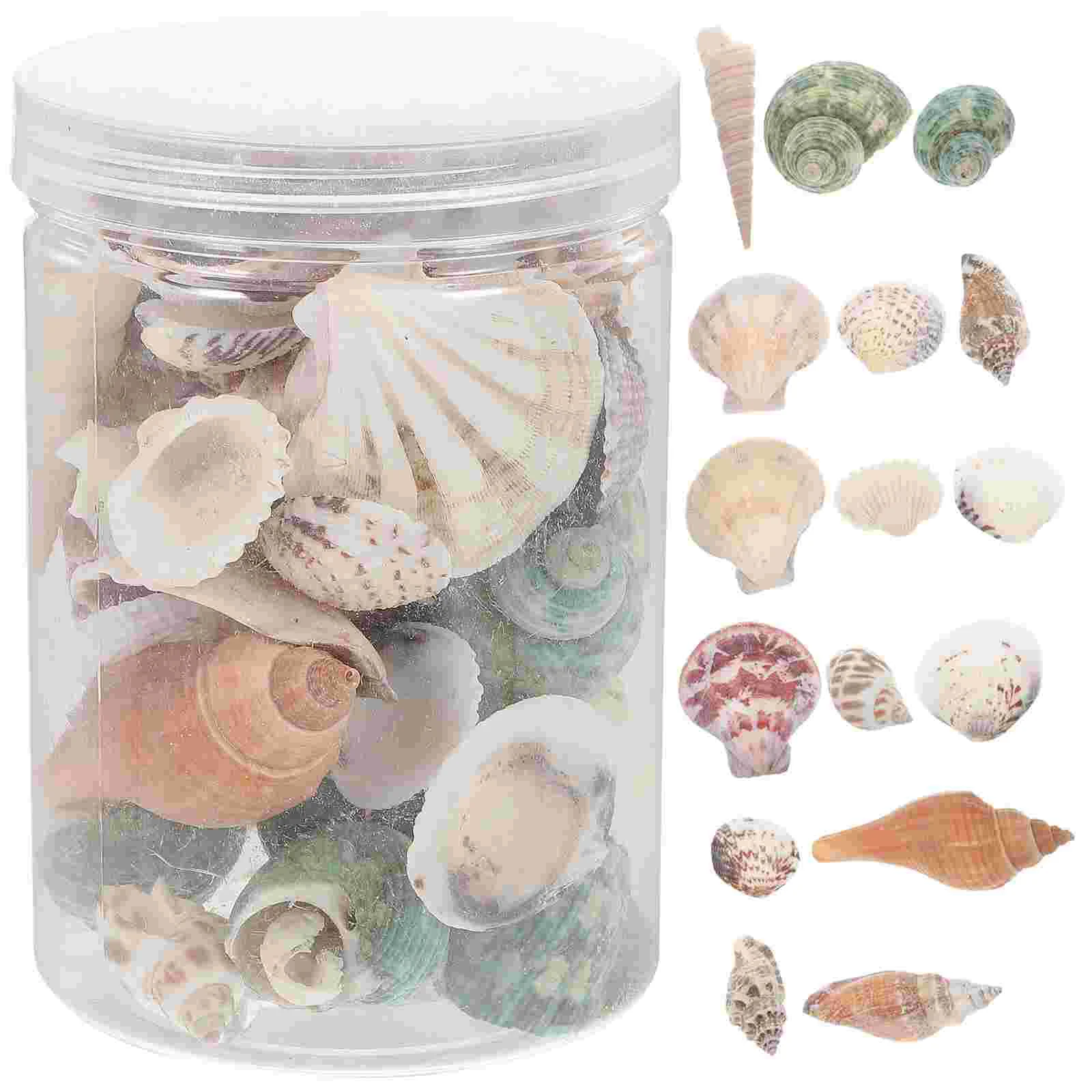 

1 Box DIY Landscape Tank Decorative Conch Adornment For Tank DIY Conch Shells For Decoration