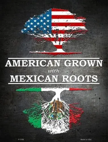 

P-1106 American grown Mexican roots metal new parking sign