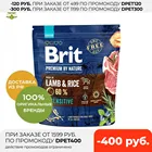 Корм Brit Premium by Nature Sensitive сухой корм для собак с чувствительным пищеварением, Ягненок и рис, 1 кг