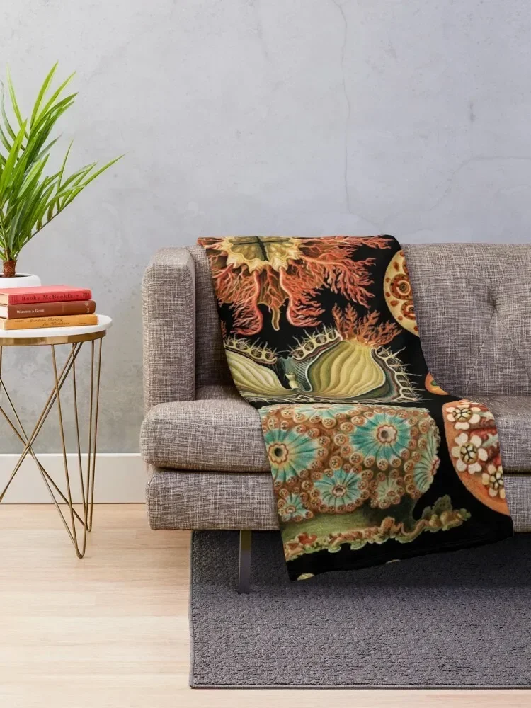 Одеяло в виде морских сквиртов асцитацеи Рождественское украшение одеяла и