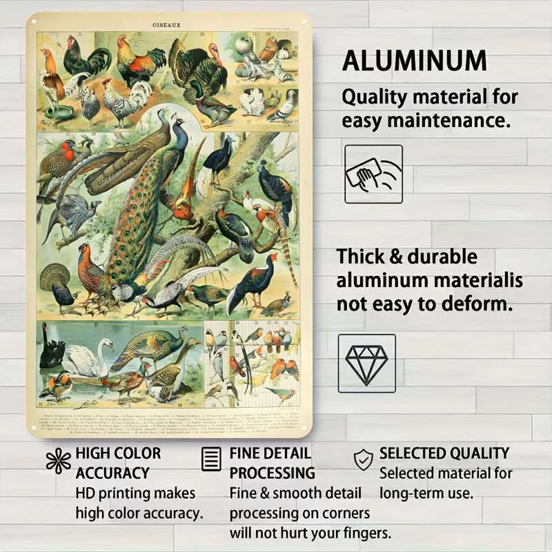 Птицы Адльфе Мильот жестяная вывеска Чертежи Плакат Человек Пещера