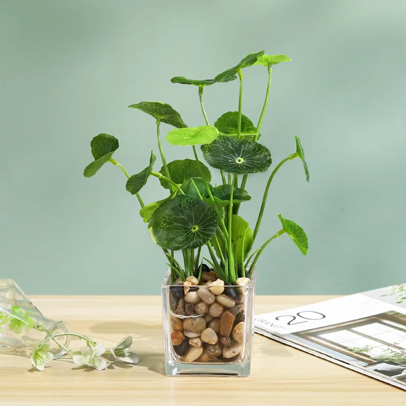 Абрикосовые ветки зеленые листья лотоса искусственный папоротник искусственные