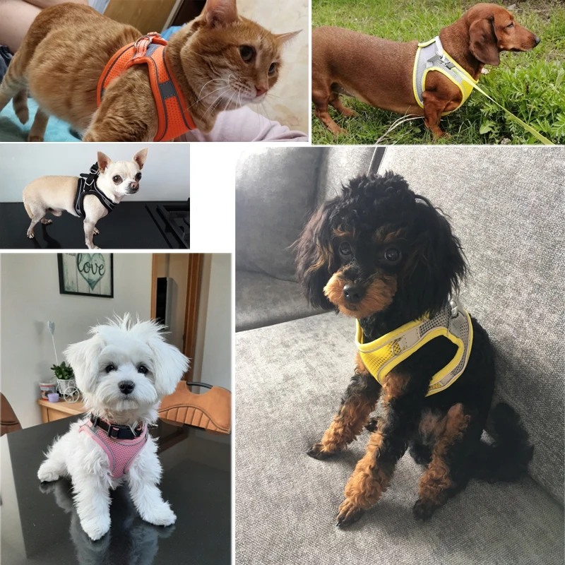 Нейлоновый бесшумный ошейник для собак с отражающей грудной лямкой, дышащий, регулируемый для маленьких собак и кошек на прогулке.