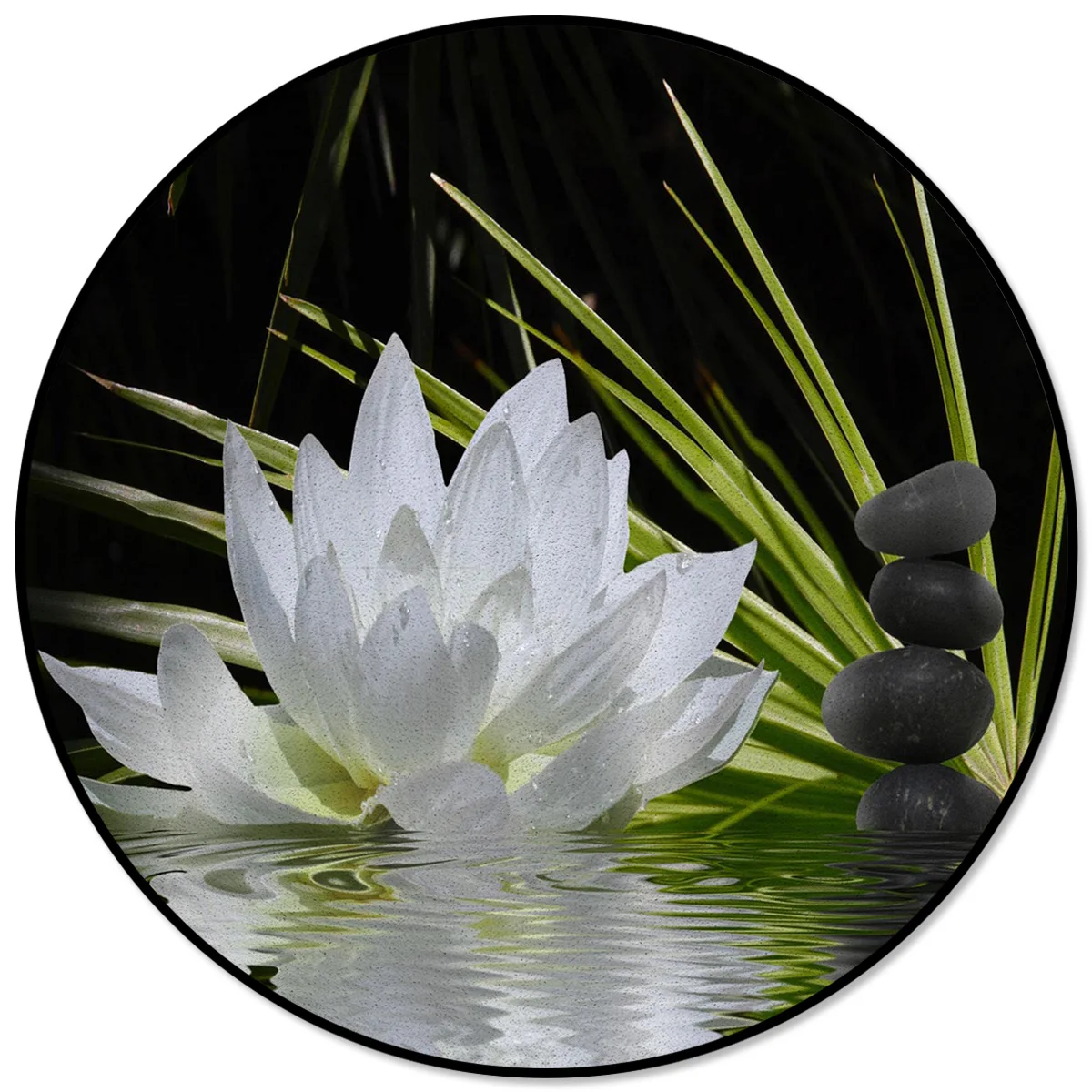 

Lotus Stone Grass Water Wave Rugs And Carpets For Home Living Room Room Decoration Teenager Bedroom Decor