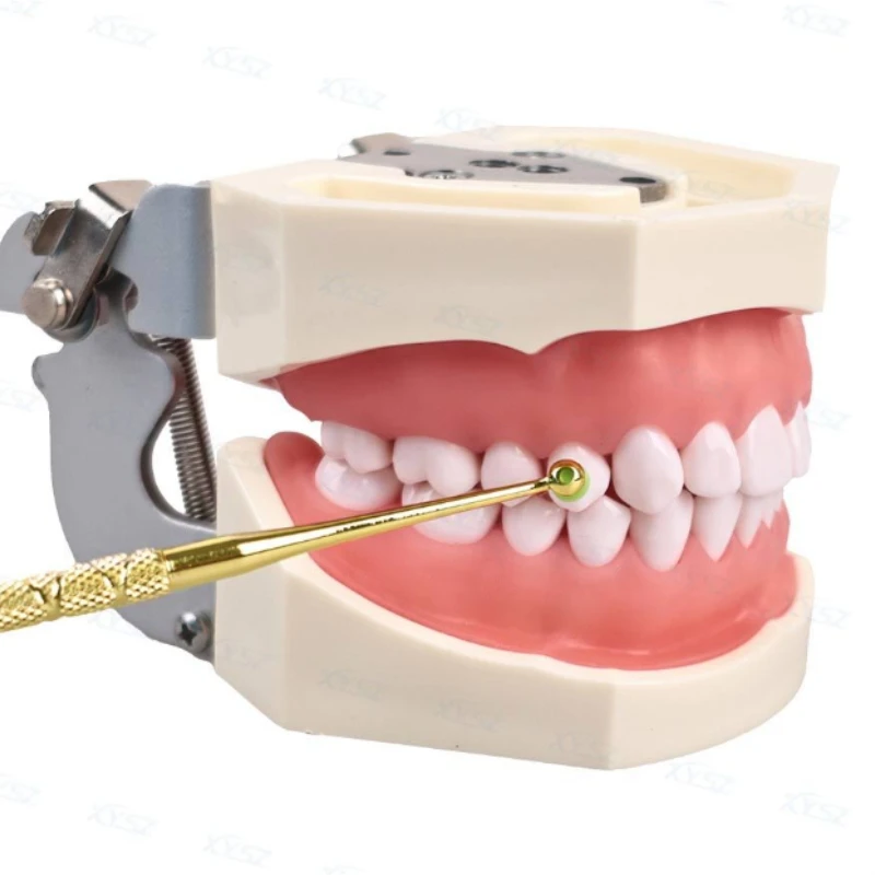 30 шт. стоматологические инструменты для наполнения смолой быстрая пенопластовая