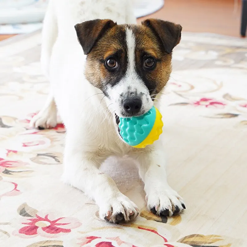 Мяч для домашних животных 2 шт