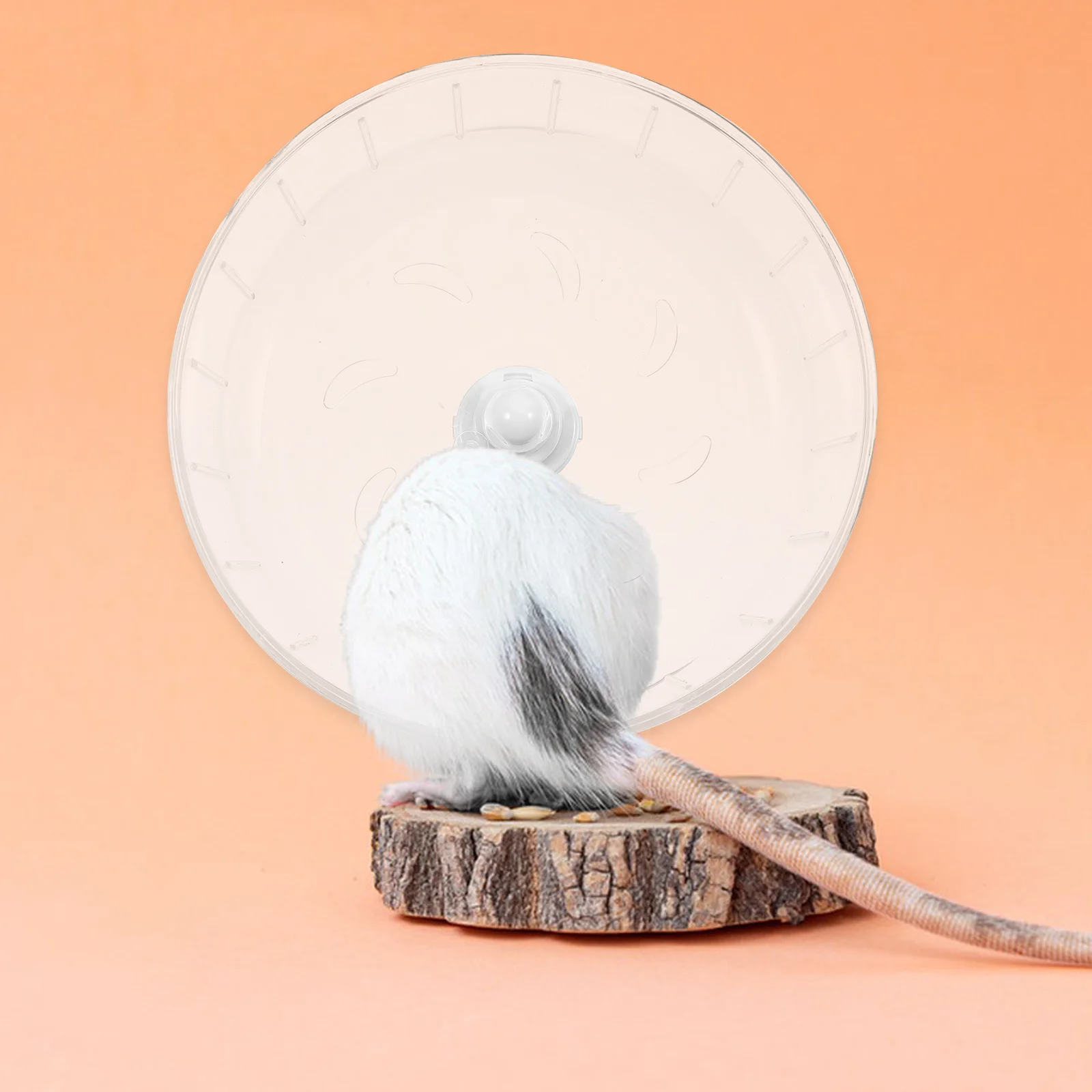 Шиншилла хомяк беговое колесо морская свинка игрушки клетка аксессуары