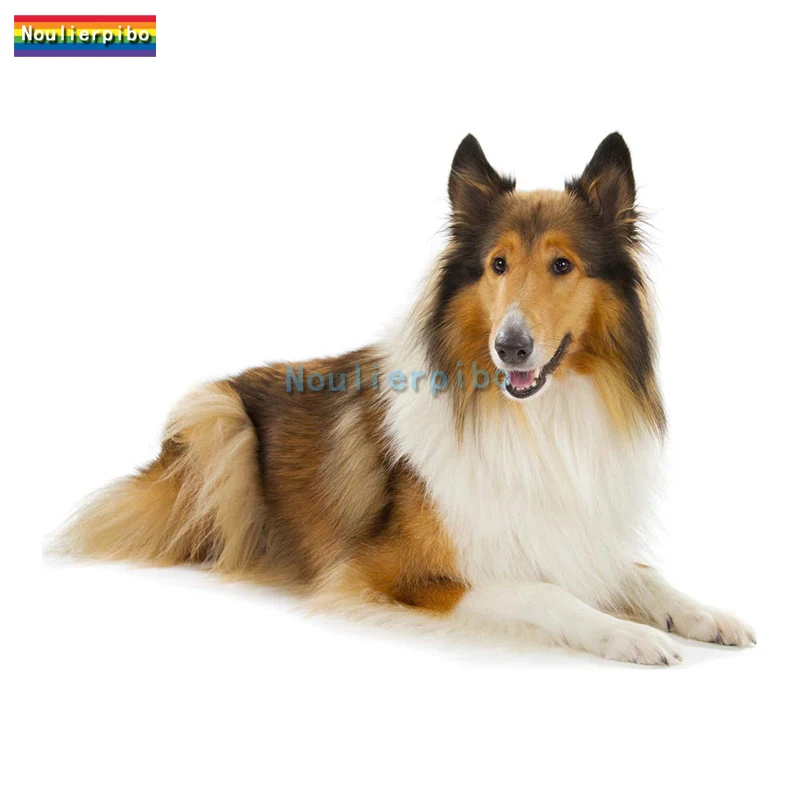 

Собака грубый колли автомобильная наклейка виниловая индивидуальная устойчивая к царапинам наклейка на окно автомобиля дверь бампер мотоцикл фургон внедорожный велосипед наклейка