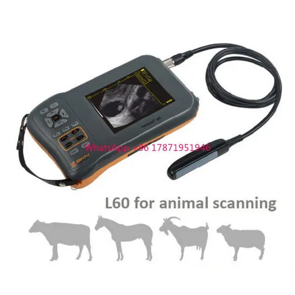 BMV Farmscan L60 свинья крупный рогатый скот корова рогатое ветеринарное оборудование