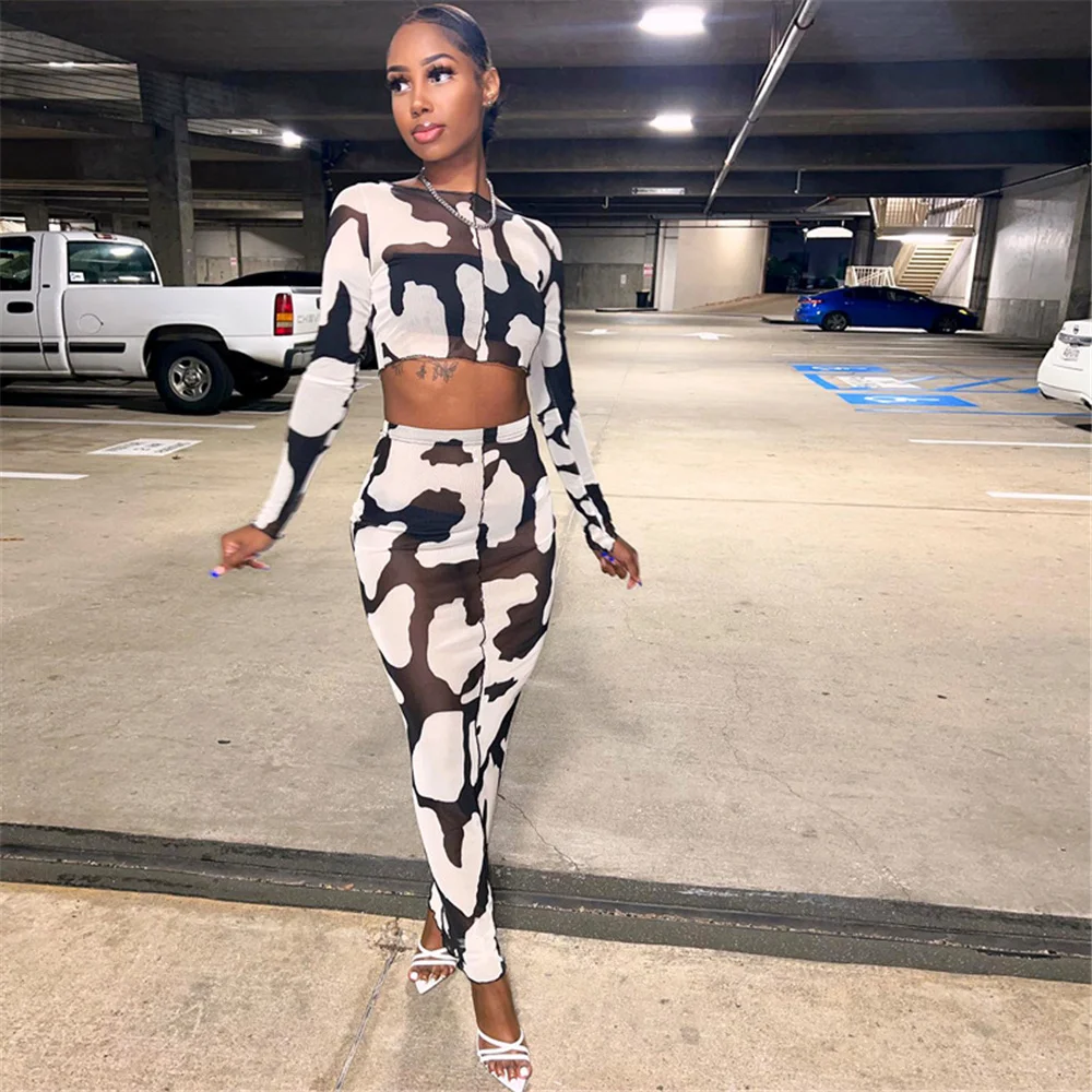 

Vintage Print Mesh Two Piece Set Women Long Sleeve Tops+See Through Skirts Sexy Female Club Party Vacation Outfits