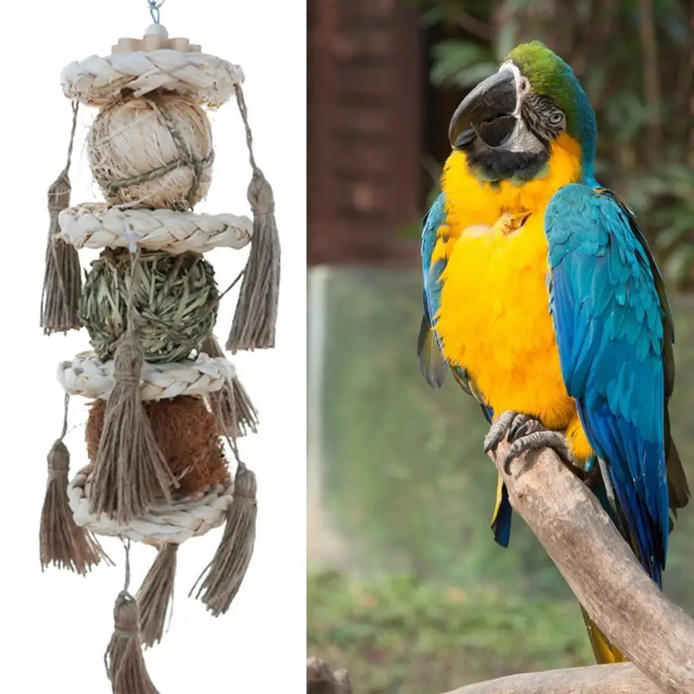 

Anti-Scratch Hanging Hook Pet Bird Chew Hanging Pendant Bird Supplies