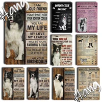 metal tin sign vintage funny border collie dog knowledge and introduction for coffee pet shop home sweet home sign bedroom decor