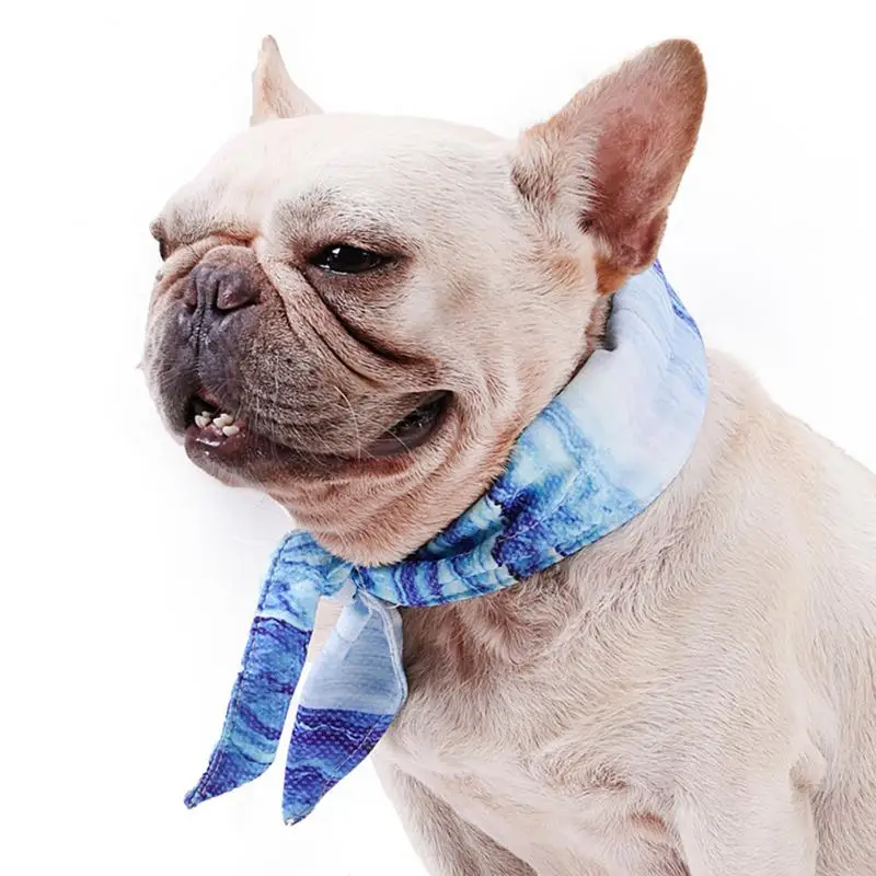 

Pets In Summer To Cool Down Cats Ice Collars To Go Out To Prevent Heatstroke Dogs Ice Scarves Outdoor Heatstroke Pet Supplies